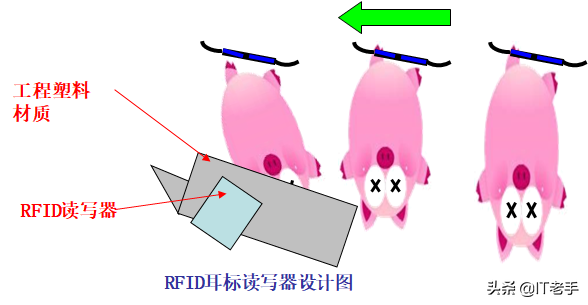 RFID（无线射频识别）技术在生猪饲养及屠宰厂的应用方案