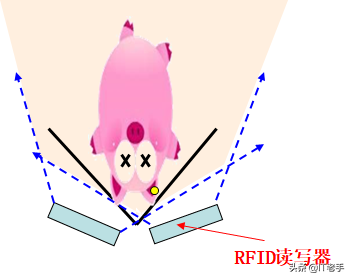 RFID（无线射频识别）技术在生猪饲养及屠宰厂的应用方案