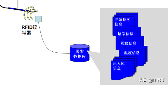 RFID（无线射频识别）技术在生猪饲养及屠宰厂的应用方案