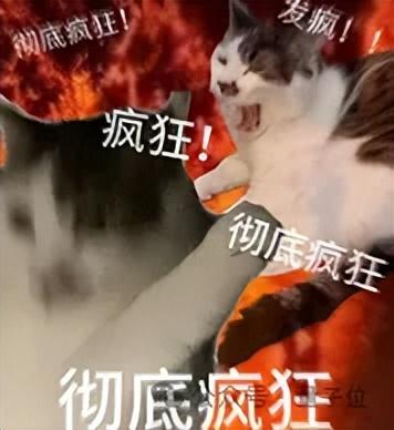 DeepSeek下棋靠忽悠赢了ChatGPT，网友：孙子兵法都用上了