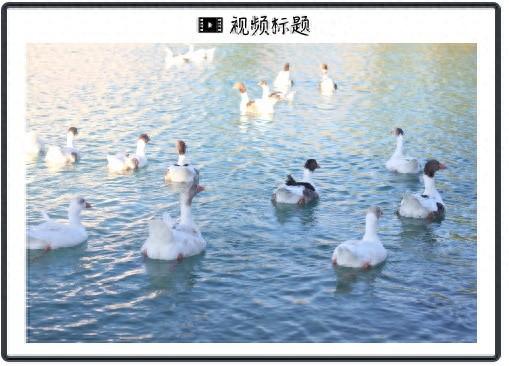 AI飞速发展，人们还有工作吗？这是Altman的回答