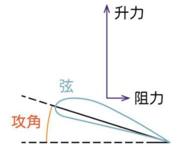 如果不断用AI来对话AI,最终它会变成什么样子? | No.449