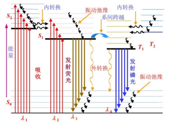 如果不断用AI来对话AI,最终它会变成什么样子? | No.449