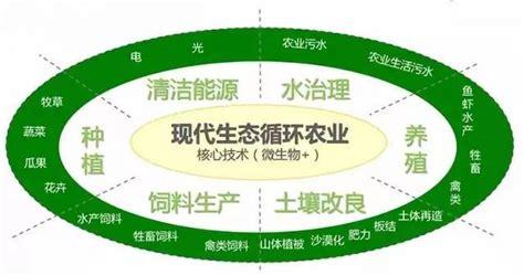 物联网基础知识：从入门到应用